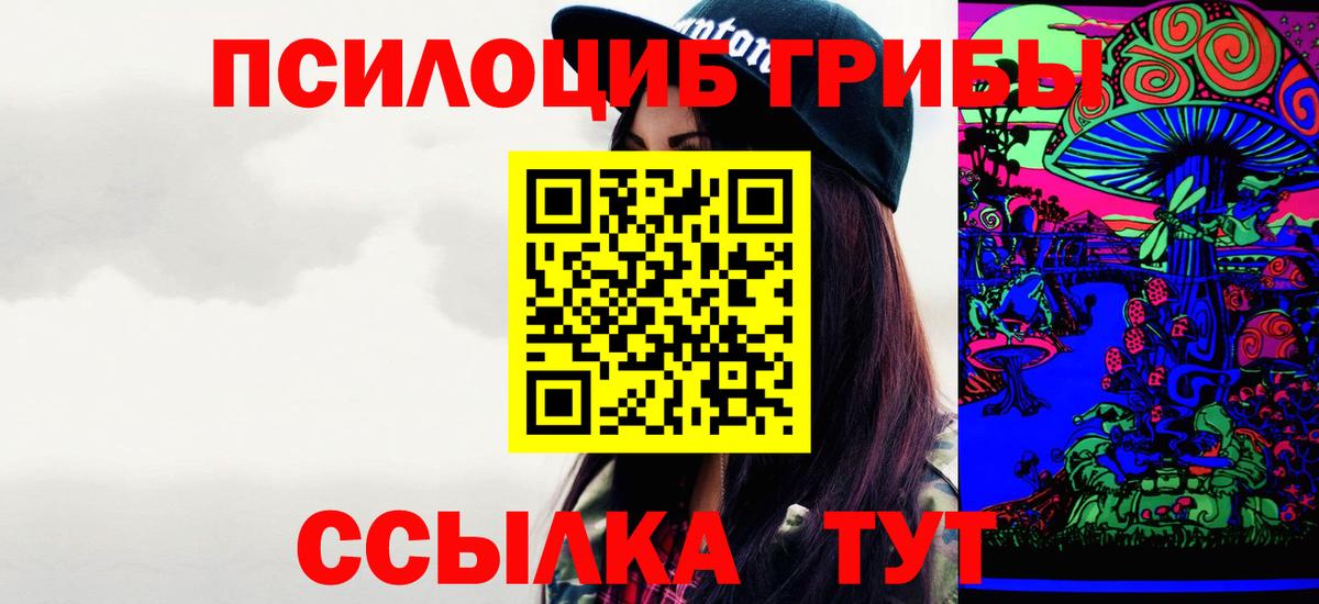 Осинники  Псилоцибиновые грибы Psilocybine cubensis  Вход с VPN 